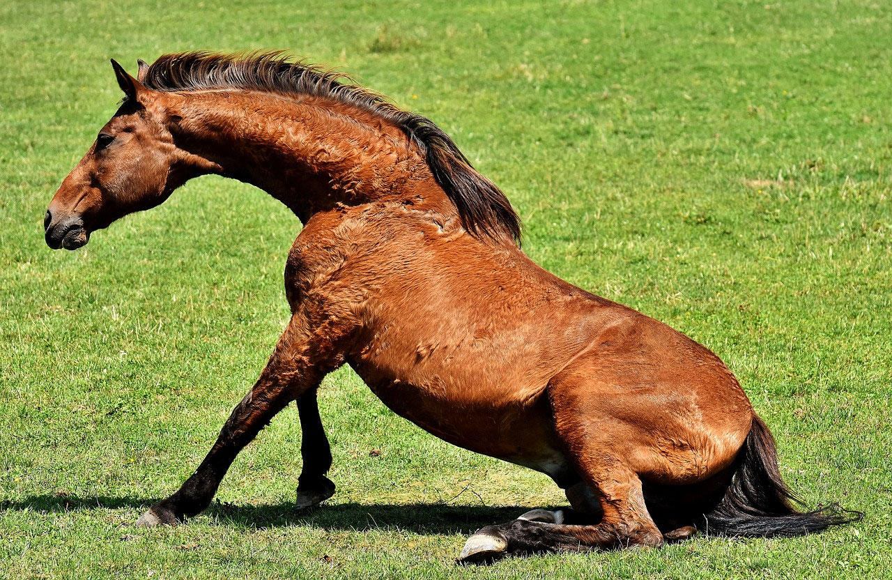Gruppe versucht gemeinsam aufzustehen