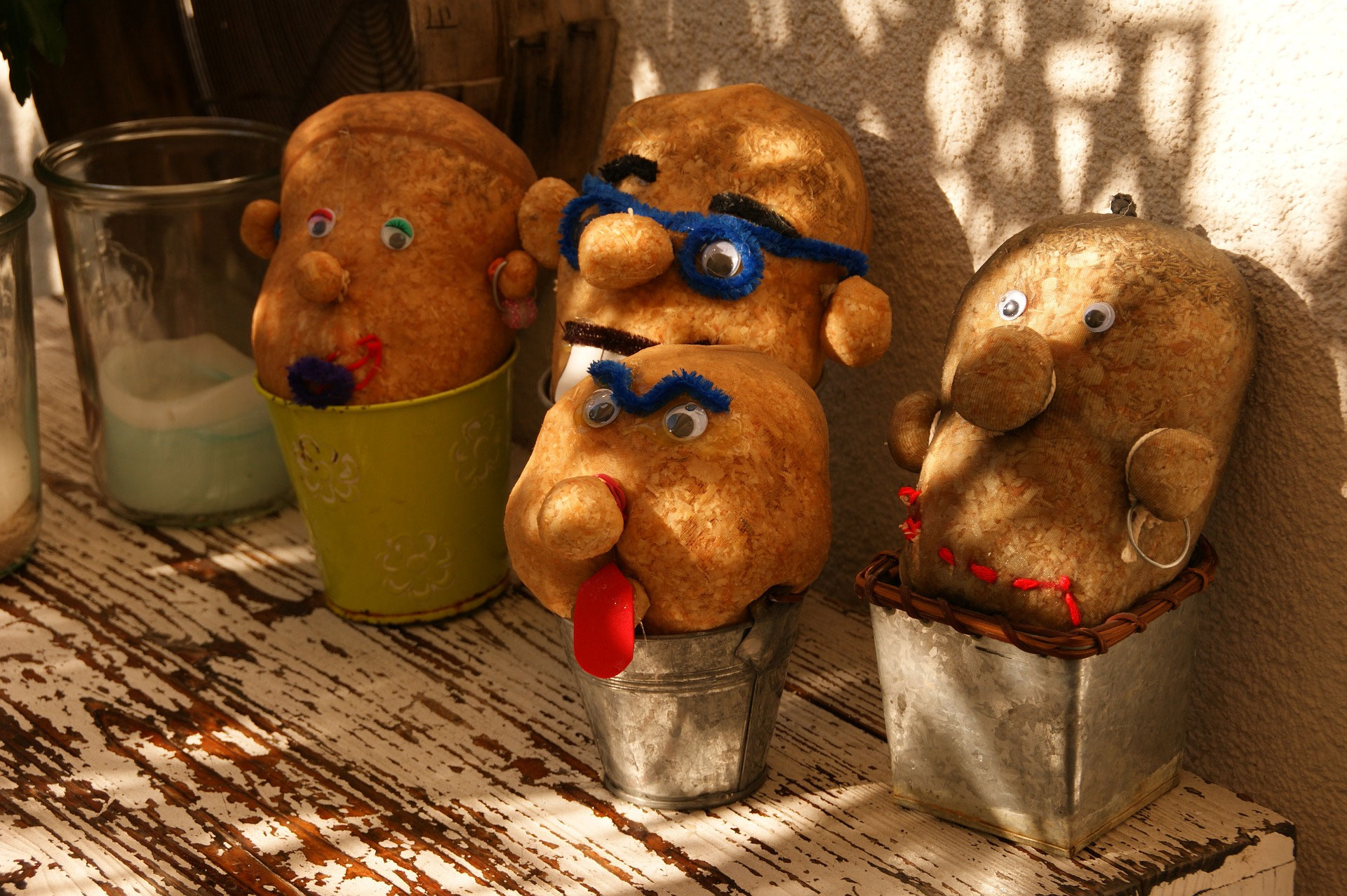 Lustige Gras- und Kräuterköpfe