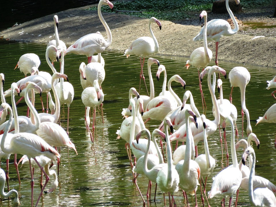 Gruppe positioniert sich beim Standogramm im Raum